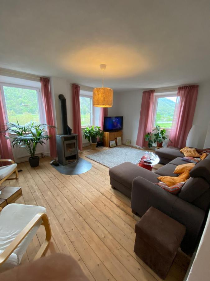 Müden Helles, Gemuetliches Haus Mit Moselblick 빌라 외부 사진